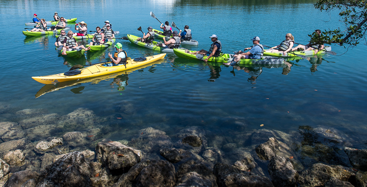 Sales conference attendees kayaking in Oleta River State Park near Miami.