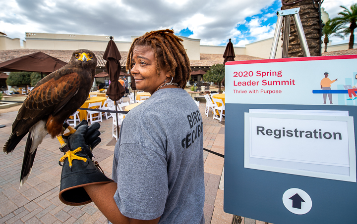 A Harris Hawk and its handler provide bird security at an outdoor corporate event in Scottsdale, AZ.
